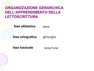 ORGANIZZAZIONE GERARCHICA
DELL’APPRENDIMENTO DELLA
LETTOSCRITTURA
fase alfabetica cane
fase ortografica ghiro/giro
fase lessicale luna/l’una
 