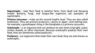 Saprotrophs - take their food in solution form, from dead and decaying
matter. Bacteria, fungi, and fungus-like organisms are examples of
saprotrophs.
Primary consumer - make up the second trophic level. They are also called
herbivores. They eat primary producers—plants or algae—and nothing else.
For example, a grasshopper living in the Everglades is a primary consumer.
Autotrophs - is an organism that can produce its own food using light, water,
carbon dioxide, or other chemicals. Because autotrophs produce their own
food, they are sometimes called producers.
Producers - are organisms that make their own food; they are also known as
autotrophs.
 