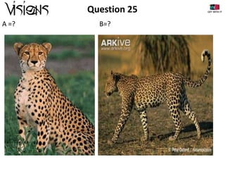 Question 25
A =?

B=?

 