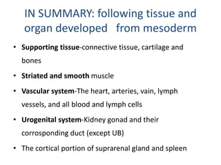 IN SUMMARY: following tissue and
organ developed from mesoderm
• Supporting tissue-connective tissue, cartilage and
bones
• Striated and smooth muscle
• Vascular system-The heart, arteries, vain, lymph
vessels, and all blood and lymph cells
• Urogenital system-Kidney gonad and their
corrosponding duct (except UB)
• The cortical portion of suprarenal gland and spleen
 