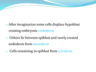 o After invagination some cells displace hypoblast
creating embryonic endoderm
o Others lie between epiblast and newly created
endoderm form mesoderm
o Cells remaining in epiblast form ectoderm
 