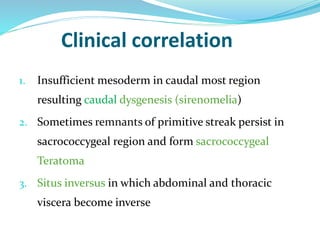 Clinical correlation
1. Insufficient mesoderm in caudal most region
resulting caudal dysgenesis (sirenomelia)
2. Sometimes remnants of primitive streak persist in
sacrococcygeal region and form sacrococcygeal
Teratoma
3. Situs inversus in which abdominal and thoracic
viscera become inverse
 