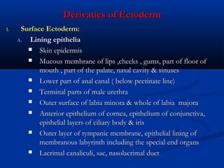 Derivaties of Ectoderm
1.

Surface Ectoderm:
A.
Lining epithelia
 Skin epidermis
 Mucous membrane of lips ,cheeks , gums, part of floor of
mouth , part of the palate, nasal cavity & sinuses
 Lower part of anal canal ( below pectinate line)
 Terminal parts of male urethra
 Outer surface of labia minora & whole of labia majora
 Anterior epithelium of cornea, epithelium of conjunctiva,
epithelial layers of ciliary body & iris
 Outer layer of tympanic membrane, epithelial lining of
membranous labyrinth including the special end organs
 Lacrimal canaliculi, sac, nasolacrimal duct

 