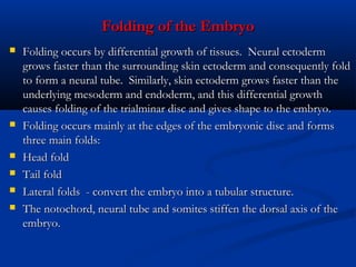 Folding of the Embryo









Folding occurs by differential growth of tissues.  Neural ectoderm
grows faster than the surrounding skin ectoderm and consequently fold
to form a neural tube.  Similarly, skin ectoderm grows faster than the
underlying mesoderm and endoderm, and this differential growth
causes folding of the trialminar disc and gives shape to the embryo. 
Folding occurs mainly at the edges of the embryonic disc and forms
three main folds:
Head fold
Tail fold
Lateral folds  - convert the embryo into a tubular structure.
The notochord, neural tube and somites stiffen the dorsal axis of the
embryo.

 