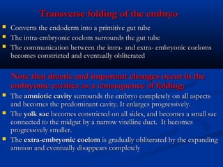 Transverse folding of the embryo




Converts the endoderm into a primitive gut tube
The intra-embryonic coelom surrounds the gut tube
The communication between the intra- and extra- embryonic coeloms
becomes constricted and eventually obliterated

Note that drastic and important changes occur in the
embryonic cavities as a consequence of folding:





The amniotic cavity surrounds the embryo completely on all aspects
and becomes the predominant cavity. It enlarges progressively.
The yolk sac becomes constricted on all sides, and becomes a small sac
connected to the midgut by a narrow vitelline duct.  It becomes
progressively smaller.
The extra-embryonic coelom is gradually obliterated by the expanding
amnion and eventually disappears completely

 