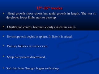 13th-16th weeks


Head growth slows down but rapid growth in length. The not so
developed lower limbs start to develop.



Ossification centres becomes clearly evident in x-rays.



Erythropoiesis begins in spleen. In liver it is seized.



Primary follicles in ovaries seen.



Scalp hair pattern determined.



Soft thin hairs ‘lanugo’ begins to develop.

 