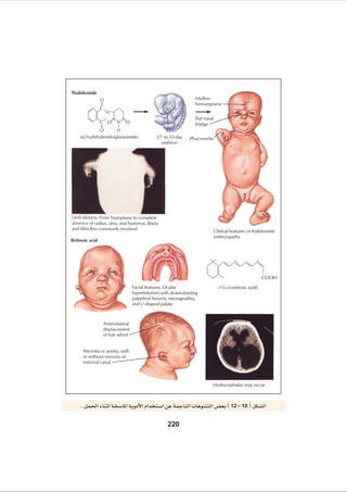 General Medical Embryology