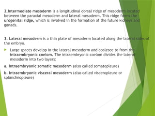 GENERAL EMBRYOLOGY embrology notes111.pptx