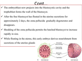 General embryology - Copy.pdf