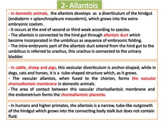 Comprehensive Overview of Embryology: From Gametogenesis to Prenatal ...