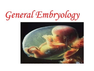 General Embryology
 
