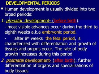 Comprehensive Introduction to Human Embryology and Developmental ...