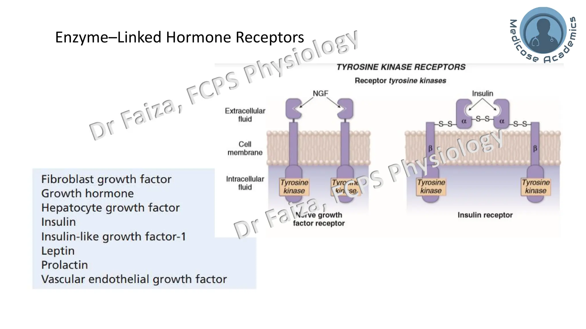General Endocrinology and mechanism of action of hormones | PDF