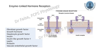 General Endocrinology and mechanism of action of hormones | PDF