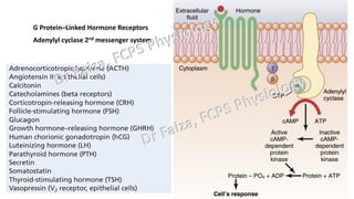 General Endocrinology and mechanism of action of hormones | PDF
