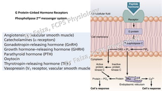 General Endocrinology and mechanism of action of hormones | PDF