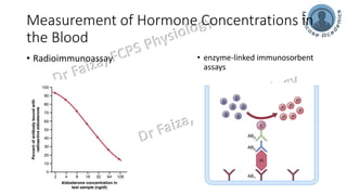 General Endocrinology and mechanism of action of hormones | PDF