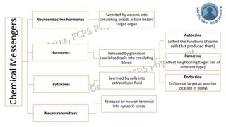 General Endocrinology and mechanism of action of hormones | PDF