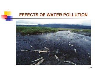 23
EFFECTS OF WATER POLLUTION
 
