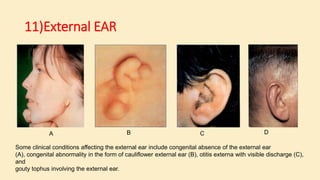 General Examination 3rd stage U.O.A skill lab | PDF