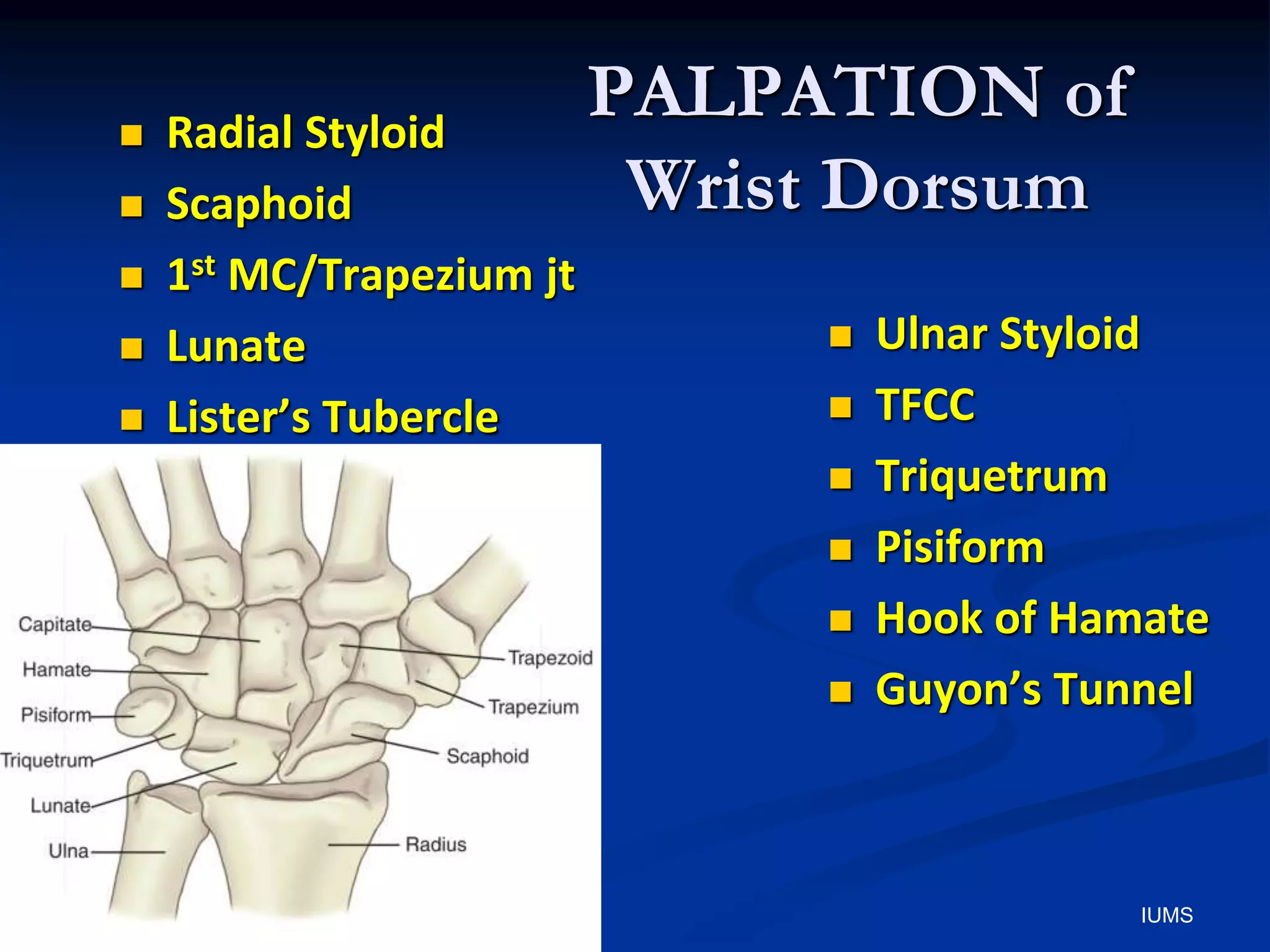 PALPATION of
Wrist Dorsum
 Radial Styloid
 Scaphoid
 1st MC/Trapezium jt
 Lunate
 Lister’s Tubercle
 Ulnar Styloid
 TFCC
 Triquetrum
 Pisiform
 Hook of Hamate
 Guyon’s Tunnel
IUMS
 