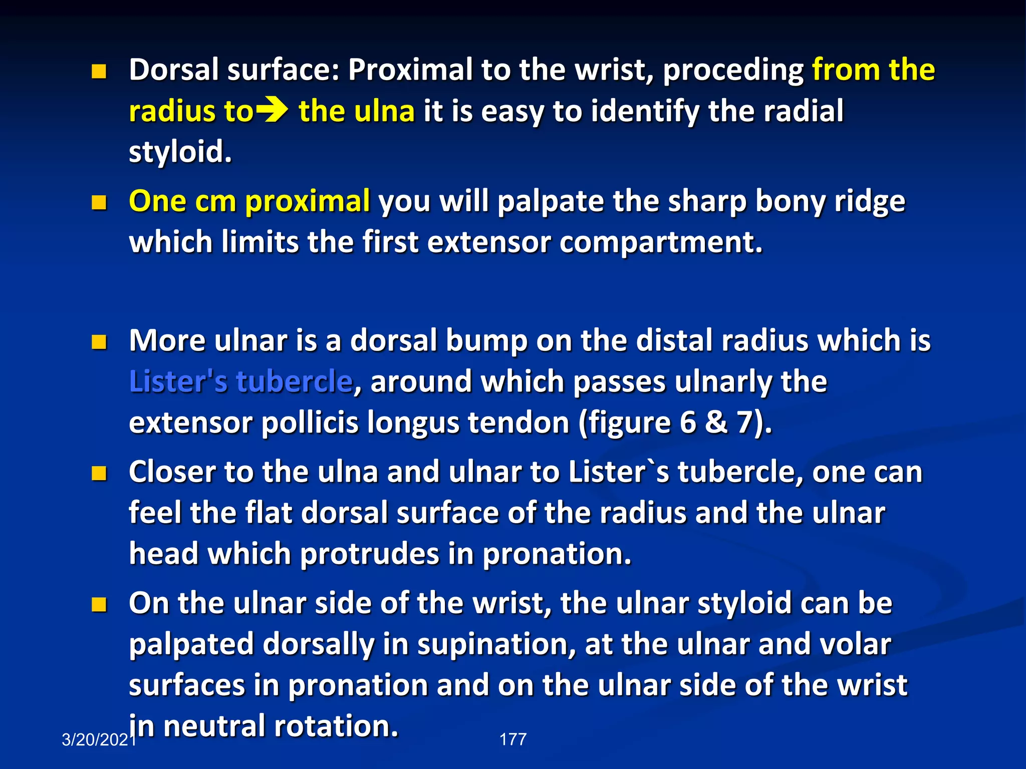  Dorsal surface: Proximal to the wrist, proceding from the
radius to the ulna it is easy to identify the radial
styloid.
 One cm proximal you will palpate the sharp bony ridge
which limits the first extensor compartment.
 More ulnar is a dorsal bump on the distal radius which is
Lister's tubercle, around which passes ulnarly the
extensor pollicis longus tendon (figure 6 & 7).
 Closer to the ulna and ulnar to Lister`s tubercle, one can
feel the flat dorsal surface of the radius and the ulnar
head which protrudes in pronation.
 On the ulnar side of the wrist, the ulnar styloid can be
palpated dorsally in supination, at the ulnar and volar
surfaces in pronation and on the ulnar side of the wrist
in neutral rotation.
3/20/2021 177
 