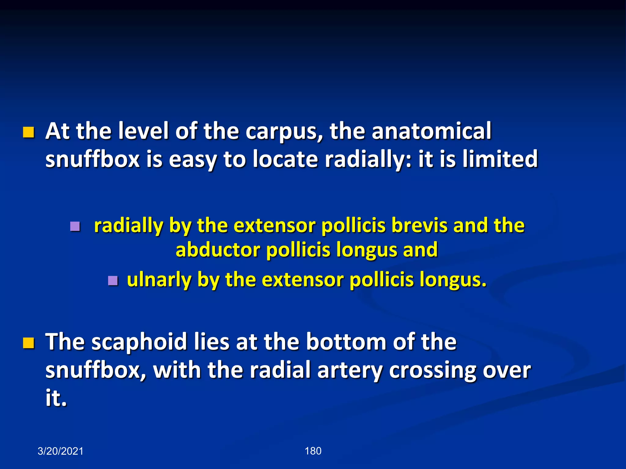  At the level of the carpus, the anatomical
snuffbox is easy to locate radially: it is limited
 radially by the extensor pollicis brevis and the
abductor pollicis longus and
 ulnarly by the extensor pollicis longus.
 The scaphoid lies at the bottom of the
snuffbox, with the radial artery crossing over
it.
3/20/2021 180
 
