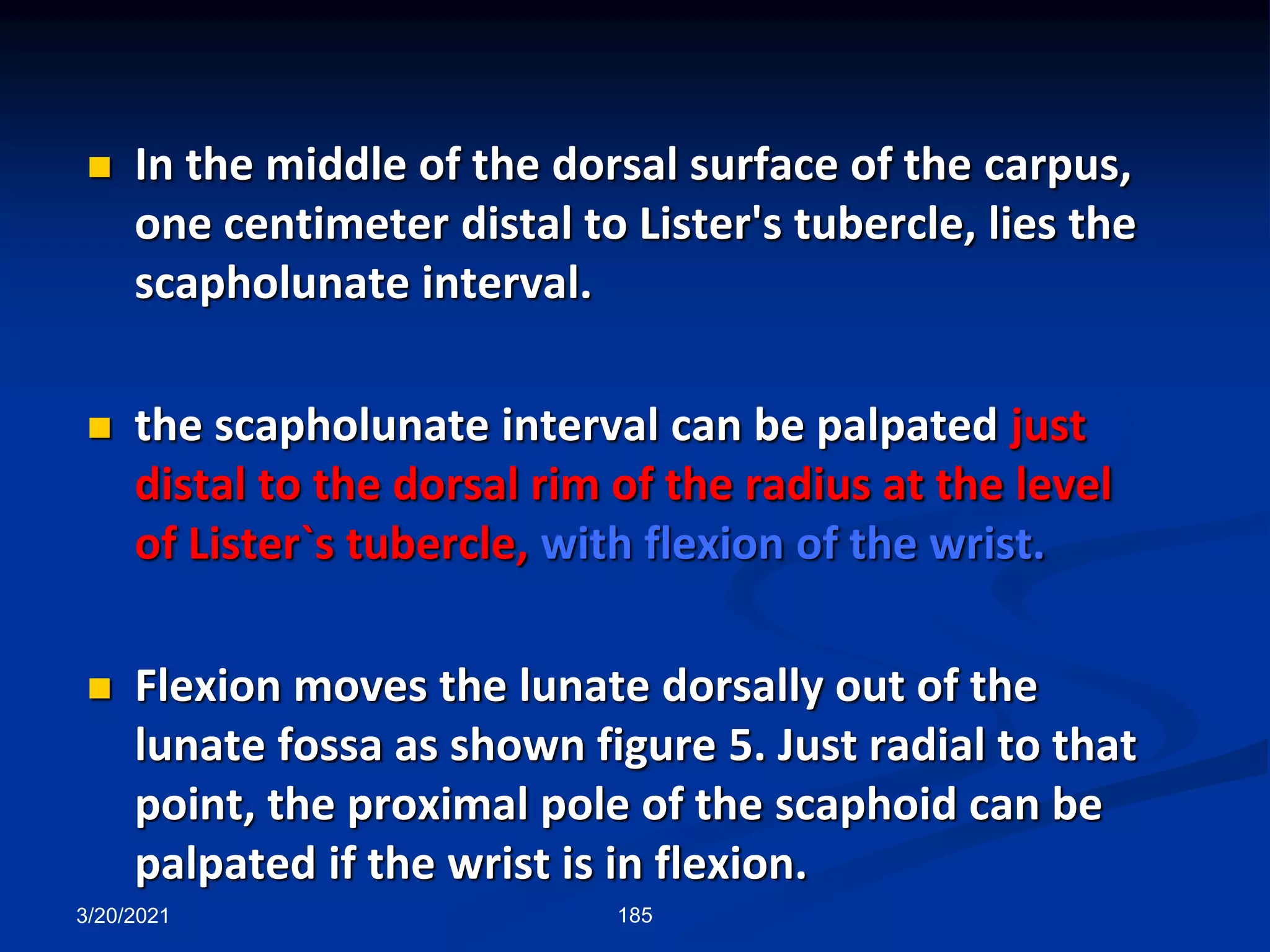 3/20/2021 185
 In the middle of the dorsal surface of the carpus,
one centimeter distal to Lister's tubercle, lies the
scapholunate interval.
 the scapholunate interval can be palpated just
distal to the dorsal rim of the radius at the level
of Lister`s tubercle, with flexion of the wrist.
 Flexion moves the lunate dorsally out of the
lunate fossa as shown figure 5. Just radial to that
point, the proximal pole of the scaphoid can be
palpated if the wrist is in flexion.
 