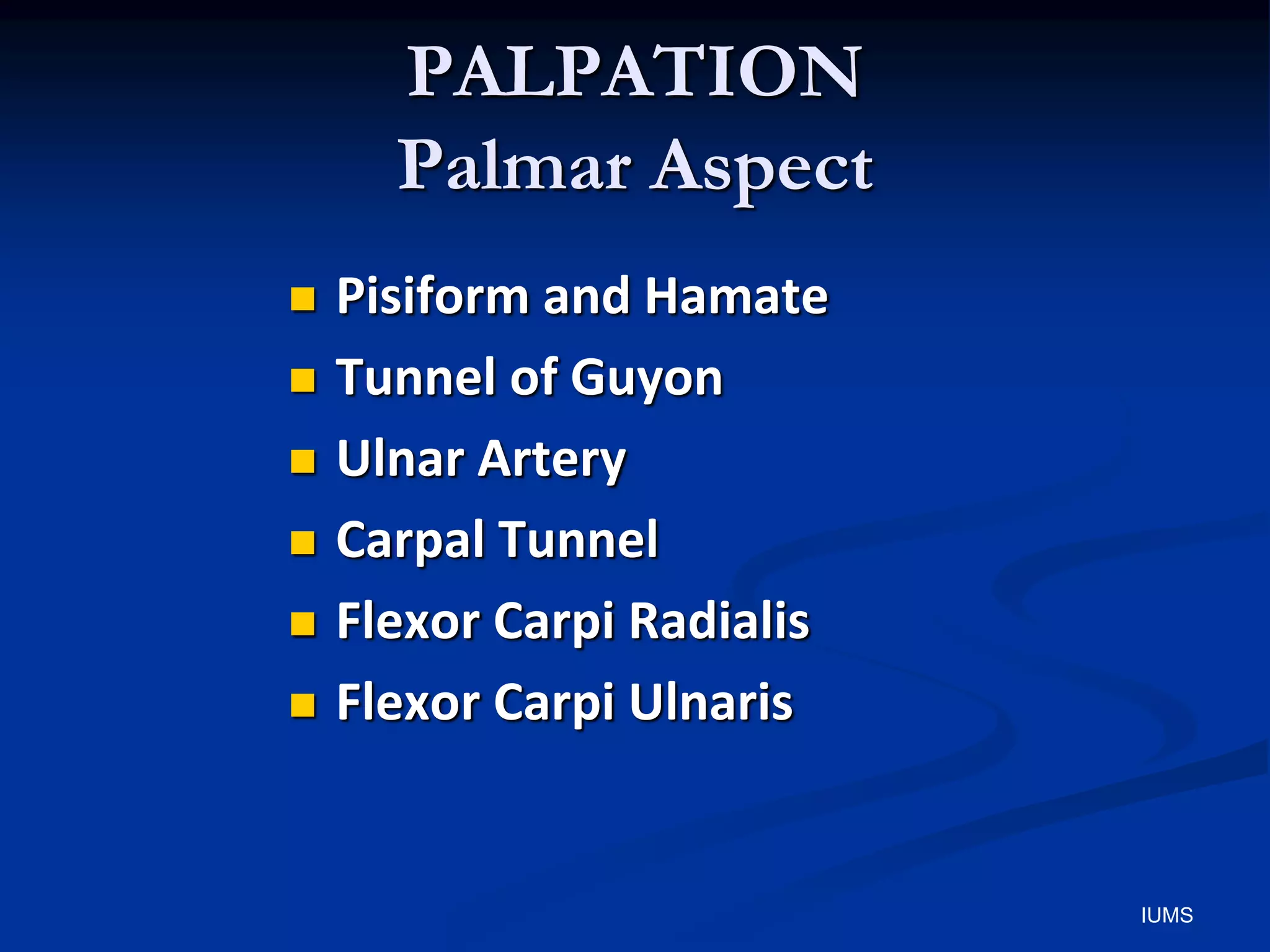 PALPATION
Palmar Aspect
 Pisiform and Hamate
 Tunnel of Guyon
 Ulnar Artery
 Carpal Tunnel
 Flexor Carpi Radialis
 Flexor Carpi Ulnaris
IUMS
 