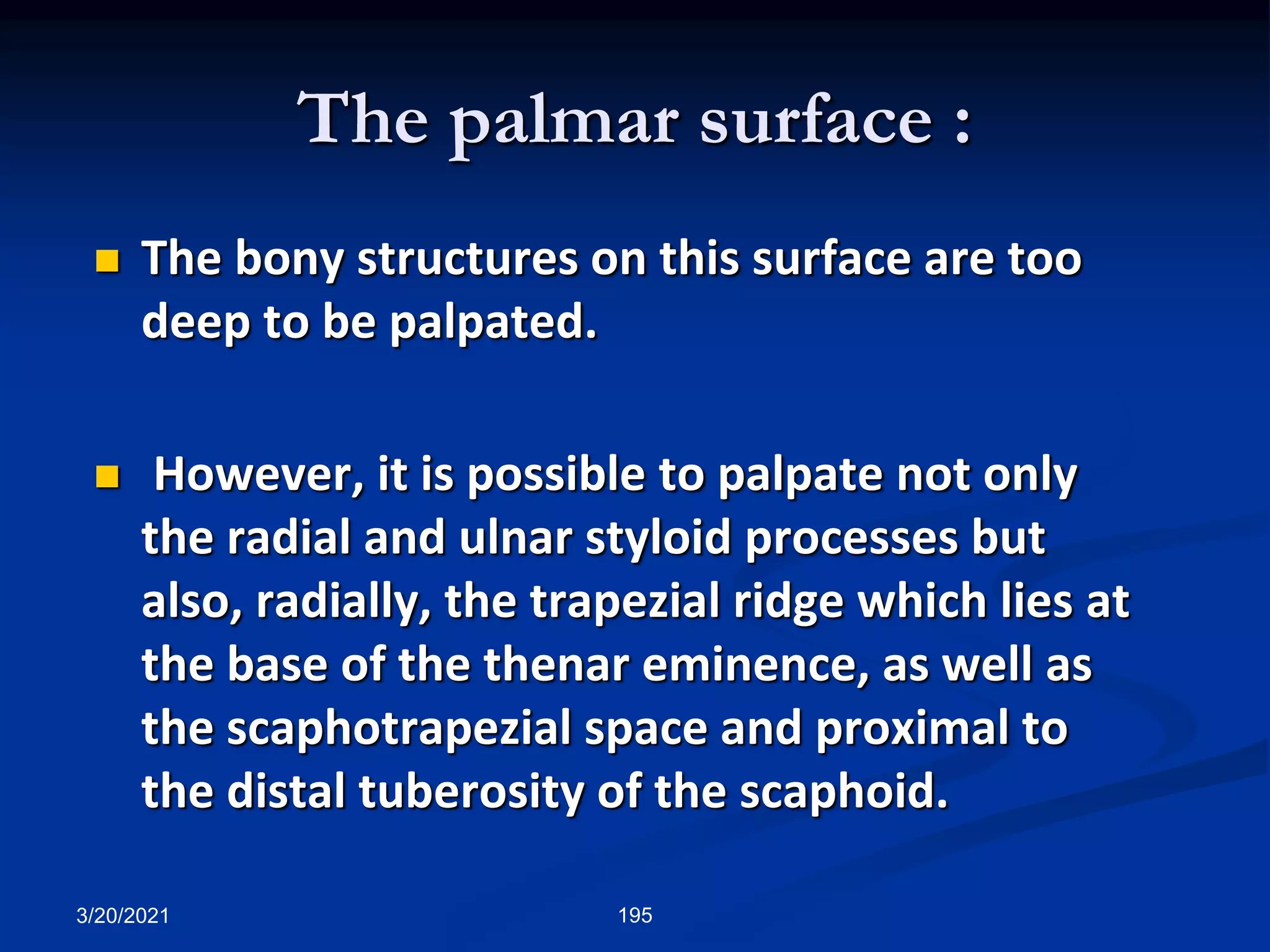 The palmar surface :
 The bony structures on this surface are too
deep to be palpated.
 However, it is possible to palpate not only
the radial and ulnar styloid processes but
also, radially, the trapezial ridge which lies at
the base of the thenar eminence, as well as
the scaphotrapezial space and proximal to
the distal tuberosity of the scaphoid.
3/20/2021 195
 