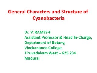 General Characters and Structure of
Cyanobacteria
Dr. V. RAMESH
Assistant Professor & Head In-Charge,
Department of Botany,
Vivekananda College,
Tiruvedakam West – 625 234
Madurai
 