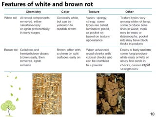 General features of white rot and brown rot fungi | PPTX