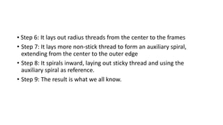 ▪ Step 6: It lays out radius threads from the center to the frames
• Step 7: It lays more non-stick thread to form an auxiliary spiral,
extending from the center to the outer edge
• Step 8: It spirals inward, laying out sticky thread and using the
auxiliary spiral as reference.
• Step 9: The result is what we all know.
 
