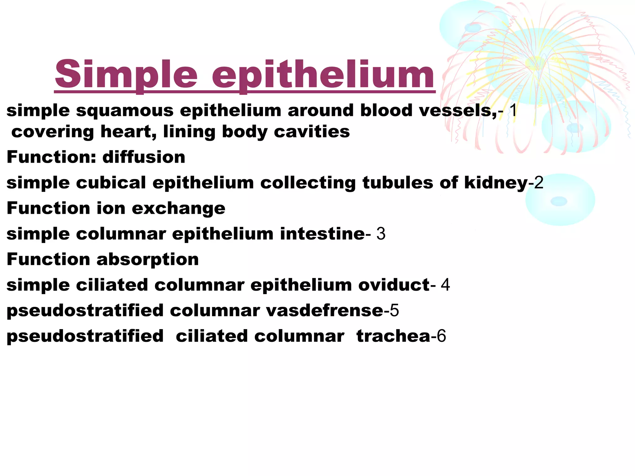 Simple epithelium

simple squamous epithelium around blood vessels,- 1
covering heart, lining body cavities
Function: diffusion
simple cubical epithelium collecting tubules of kidney-2
Function ion exchange
simple columnar epithelium intestine- 3
Function absorption
simple ciliated columnar epithelium oviduct- 4
pseudostratified columnar vasdefrense-5
pseudostratified ciliated columnar trachea-6

 