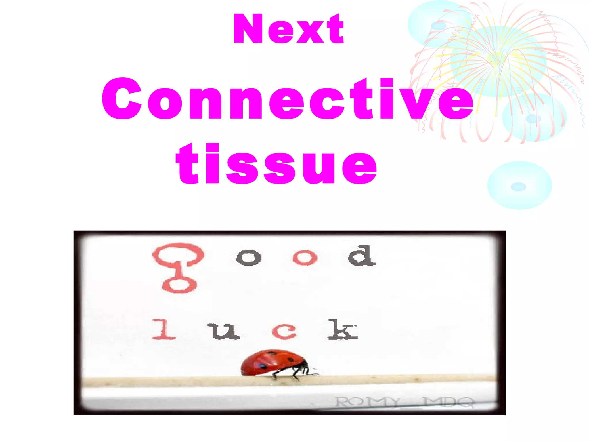 Next

Connective
tissue

 