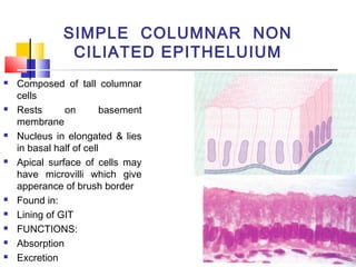 General histology | PPT
