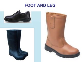FOOT AND LEG
 