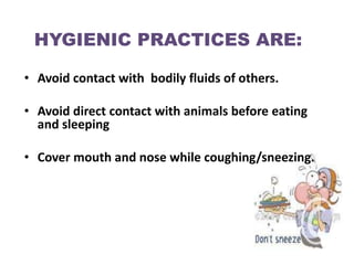 HYGIENIC PRACTICES ARE:

• Avoid contact with bodily fluids of others.

• Avoid direct contact with animals before eating
  and sleeping

• Cover mouth and nose while coughing/sneezing.
 