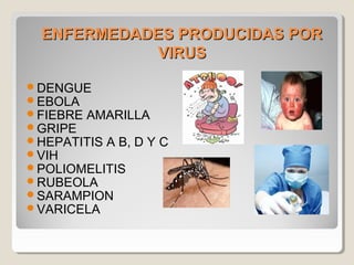ENFERMEDADES PRODUCIDAS PORENFERMEDADES PRODUCIDAS POR
VIRUSVIRUS
DENGUE
EBOLA
FIEBRE AMARILLA
GRIPE
HEPATITIS A B, D Y C
VIH
POLIOMELITIS
RUBEOLA
SARAMPION
VARICELA
 