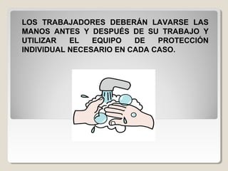 LOS TRABAJADORES DEBERÁN LAVARSE LAS
MANOS ANTES Y DESPUÉS DE SU TRABAJO Y
UTILIZAR EL EQUIPO DE PROTECCIÓN
INDIVIDUAL NECESARIO EN CADA CASO.
 