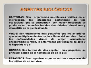  BACTERIAS: Son organismos unicelulares visibles en el
microscopio, las infecciones bacterianas de tipo
ocupacional que se encuentran con mayor frecuencia se
producen en pequeñas heridas descuidadas, abrasiones y
dermatitis en la piel lesionada.
 VIRUS: Son organismos mas pequeños que los anteriores
que se multiplican dentro de las células del ser vivo. Entre
las enfermedades virales de origen ocupacional
encontramos la rabia, la enfermedad por rasguño de gato y
la hepatitis A y B.
 HONGOS: Son formas de vida vegetal , muy pequeñas, su
principal acción en el hombre se da en la piel.
 PARASITOS: Son organismos que se nutren a expensas de
los tejidos de un ser vivo.
AGENTES BIOLÓGICOSAGENTES BIOLÓGICOS
 