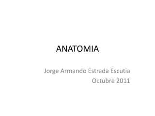 ANATOMIA Jorge Armando Estrada Escutia Octubre 2011 