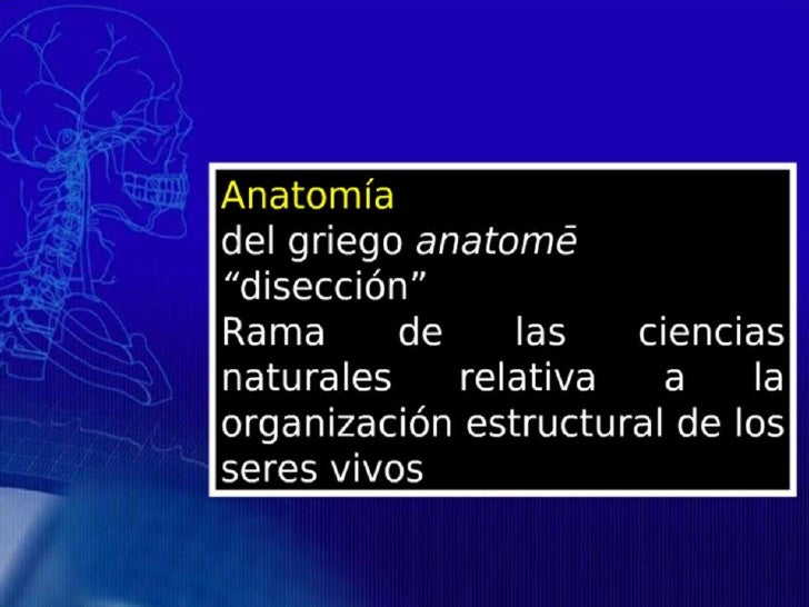 preguntas selectividad metabolismo resueltas secretos