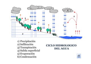 1) Precipitación
2) Infiltración         CICLO HIDROLOGICO
3) Transpiración             DEL AGUA
4) Salida superficial
5) Evaporación
6) Condensación
 