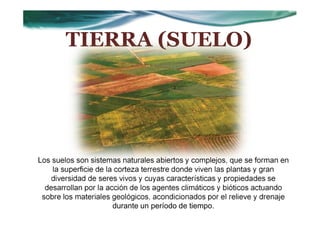 TIERRA (SUELO)




Los suelos son sistemas naturales abiertos y complejos, que se forman en
    la superficie de la corteza terrestre donde viven las plantas y gran
    diversidad de seres vivos y cuyas características y propiedades se
  desarrollan por la acción de los agentes climáticos y bióticos actuando
 sobre los materiales geológicos, acondicionados por el relieve y drenaje
                       durante un período de tiempo.
 