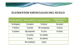 ELEMENTOS ESENCIALES DEL SUELO

                                                    MICROELEMENTOS
MACROELEMENTOS MEDIOELEMENTOS MICROELEMENTOS
                                                       ESPECIALES
  N (nitrógeno)     Ca (calcio)       Fe (fierro)      Na (sodio)
   P (fósforo)      S (azufre)     Mn (manganeso)      Cl (cloro)
   K (potasio)    Mg (magnesio)       Zn (zinc)        Si (silicio)
                    Cu (cobre)      Co (cobalto)
                     B (boro)        Se (selenio)
                  Mo (molibdeno)       I (iodo)
 