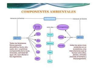 Todos los fenómenos
físicos (presión               todos los seres vivos
atmosférica, lluvia, aire,          existentes en un
suelo, etc.) y químicos            ecosistema, y las
(componentes de la rocas,    interrelaciones que se
minerales, salinidad del         forman entre ellos,
agua, etc.) que afectan a          plantas, animales
los organismos.               (incluido el hombre) y
                                   microorganismo.
 