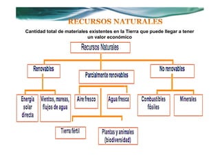 Cantidad total de materiales existentes en la Tierra que puede llegar a tener
                            un valor económico
 