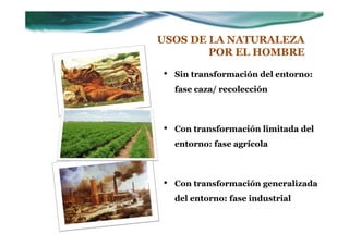 USOS DE LA NATURALEZA
        POR EL HOMBRE

•   Sin transformación del entorno:
    fase caza/ recolección



•   Con transformación limitada del
    entorno: fase agrícola



•   Con transformación generalizada
    del entorno: fase industrial
 