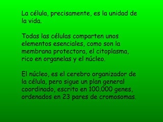 La célula, precisamente, es la unidad de
la vida.

Todas las células comparten unos
elementos esenciales, como son la
membrana protectora, el citoplasma,
rico en organelas y el núcleo.

El núcleo, es el cerebro organizador de
la célula, pero sigue un plan general
coordinado, escrito en 100.000 genes,
ordenados en 23 pares de cromosomas.
 